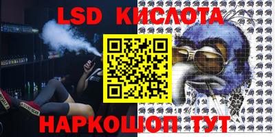 стаф Бузулук