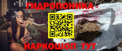 стаф Бузулук