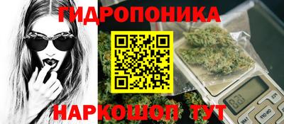 стаф Бузулук